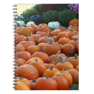 Carnet Photographie de récolte d'automne des citrouilles 