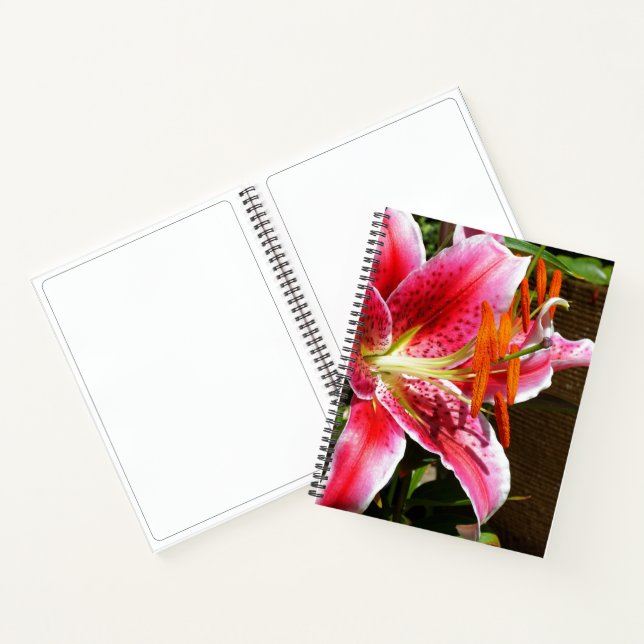 Carnet Photographie de Stargazer Lily (Intérieur)