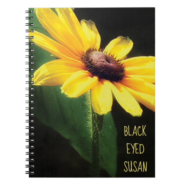 Carnet Photographie de Susan Jaune aux yeux noirs (Devant)