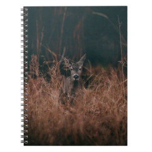 CARNET PHOTOGRAPHIE DE VIE SAUVAGE DE GRAY DEER ENTOURÉ P