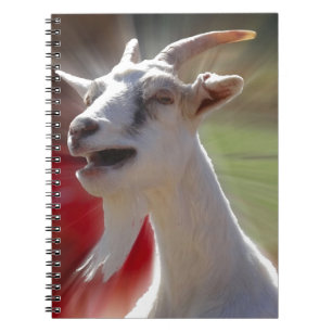 Carnet Photographie drôle de chèvre de Tallking