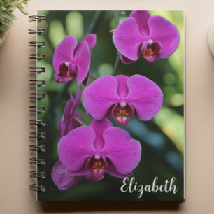 Carnet Photographie florale Elégant violet orchidée perso