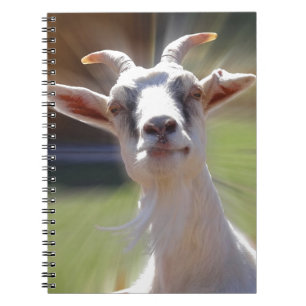 Carnet Photographie idiote de BillyGoat