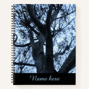 Carnet Photographie Silhouette de l'arbre