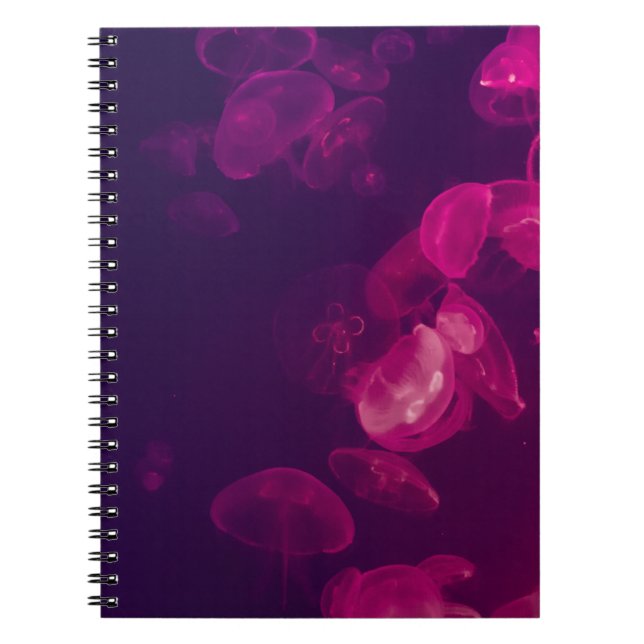 CARNET PHOTOGRAPHIE SOUS-MARINE DE JELLYFISH (Devant)