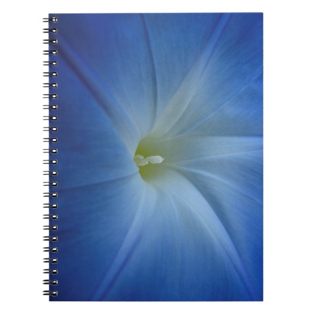 Carnet Photos de Fleur de Matin Bleu Céleste (Devant)