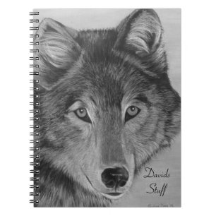 Carnet photos de la faune loups loups gris loup
