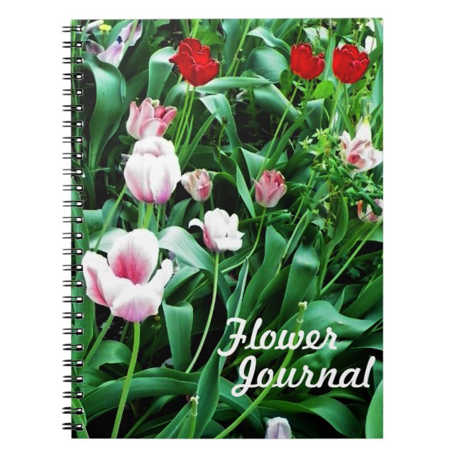 Carnet Photos de tulipes rouges et roses (Devant)