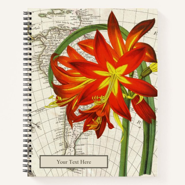 Carnet Phycella Fulgens (Devant)