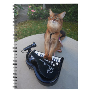 Carnet Piano Chat, Funny Musicien de chat somalien Jouer 