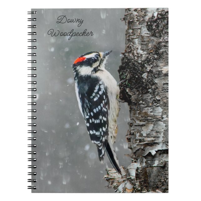 Carnet Pic Downy en neige - Photo originale (Devant)