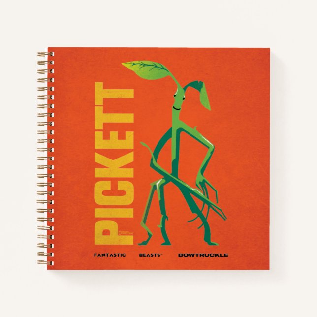 Carnet Pickett Vintage Graphic (Devant)