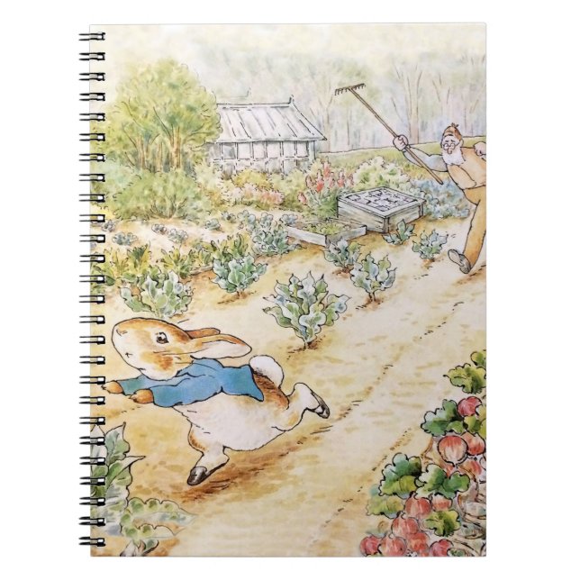 Carnet Pierre le Lapin dans le jardin de M. Mc Gregor   (Devant)