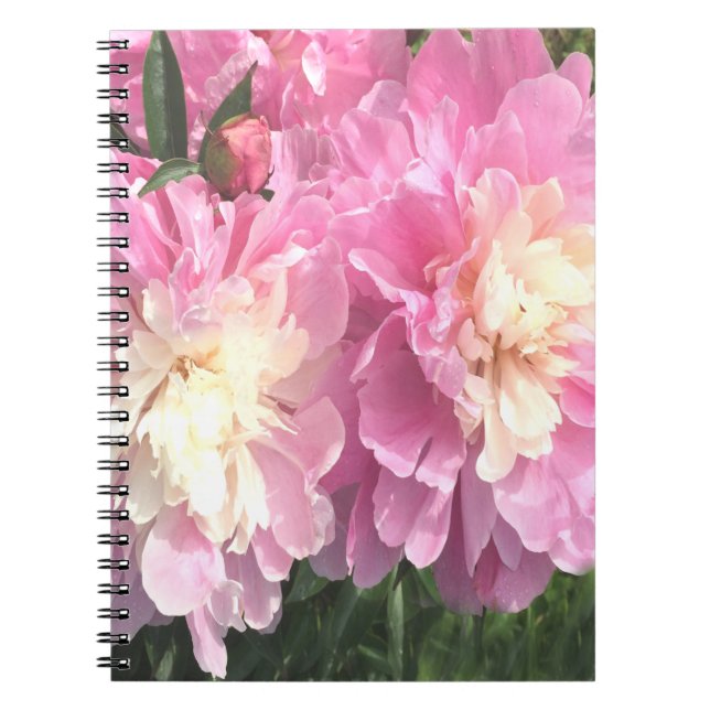 Carnet Pies roses (Devant)