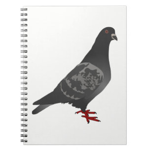 Carnet Pigeon