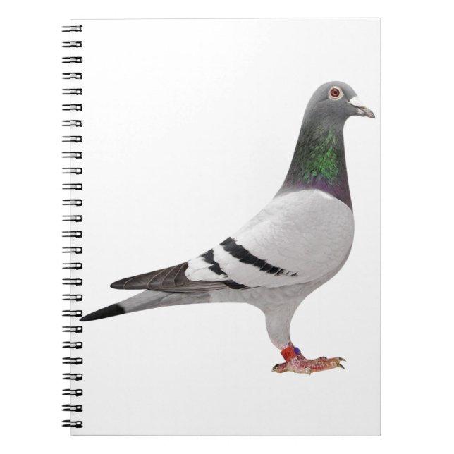 Carnet pigeon design (Devant)