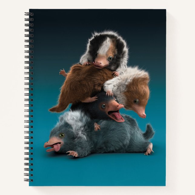 Carnet Pile bébé NIFFLER™ (Devant)