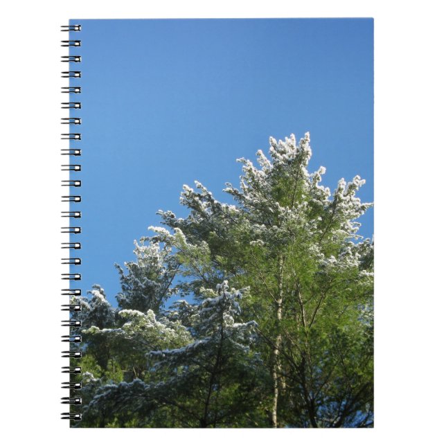 Carnet Pin à pointes de neige sur le ciel bleu (Devant)