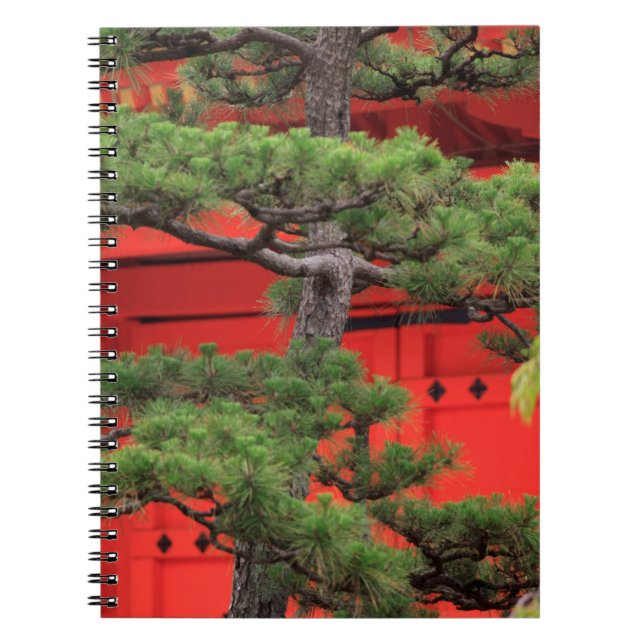 Carnet Pin de bonsaï (Devant)