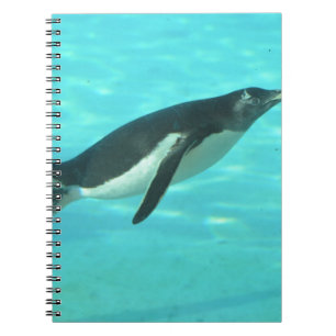 Carnet Pingouin nageant sous l'eau