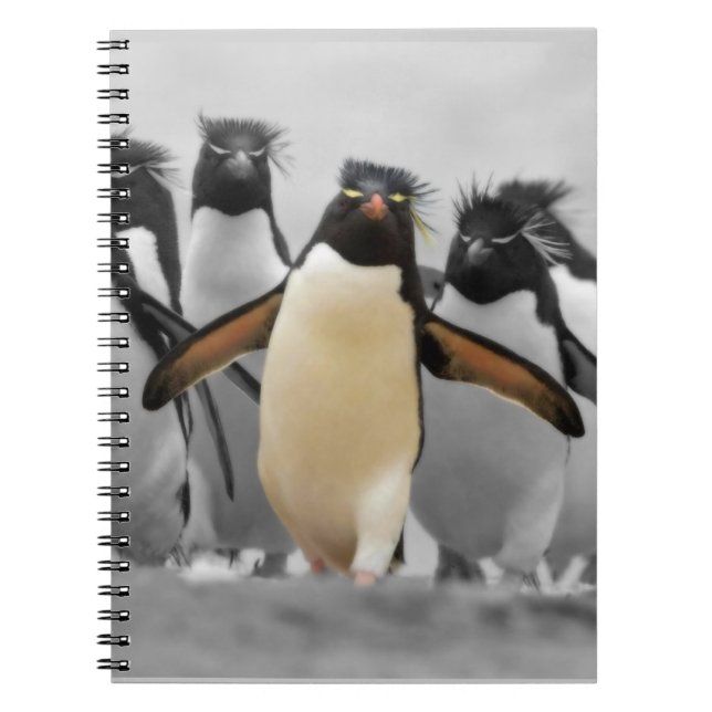 Carnet Pingouins de Rockhopper (Devant)
