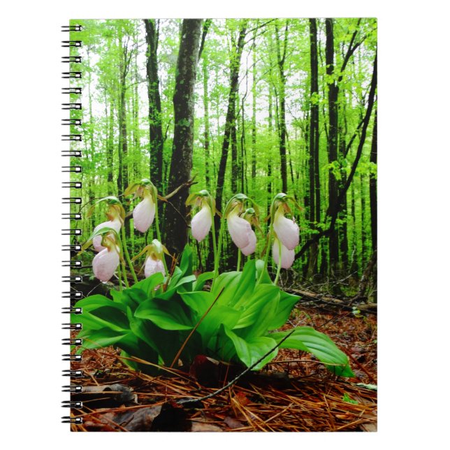 Carnet Pink Lady Slipper sauvage orchidée (Devant)