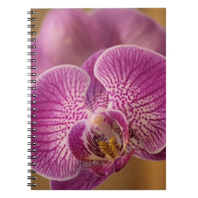 Carnet Pink Orchid Flower (Devant)