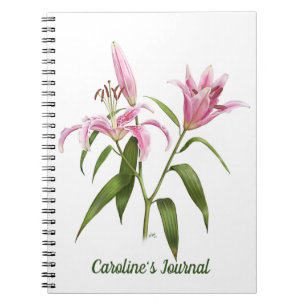 Carnet Pink Stargazer Lily