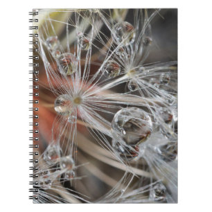 Carnet Pissenlit Abstrait