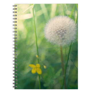 Carnet Pissenlit dans la verdure avec une douce lumière e