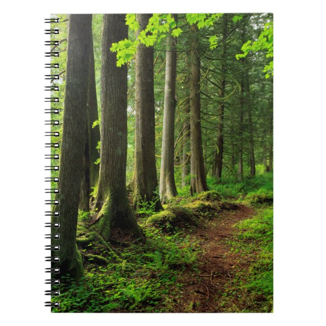 Carnet Pittoresque Green Forest Trail (Devant)