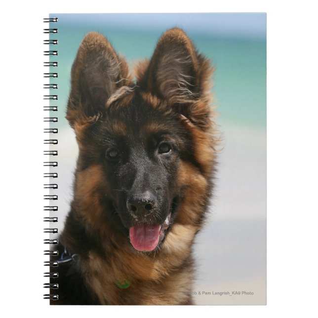 Carnet Plage aux cheveux longs de berger allemand (Devant)