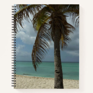 Carnet Plage d'Aruba I Belle Scène Nature