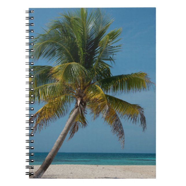 Carnet Plage de palmiers et de sable blanc 2 (Devant)