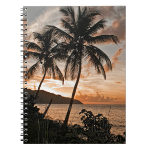 Carnet Plage de Sunset Tropical Palm Trees Beach