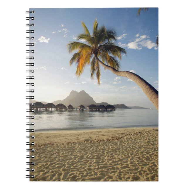 Carnet Plages tropicales | Plages, Bora Bora (Devant)