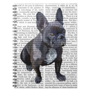 Carnet Plaine de bouledogue français