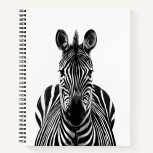 Carnet Plan de sauvegarde III