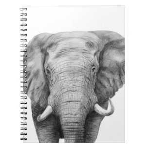 Carnet Plan de sauvegarde IV