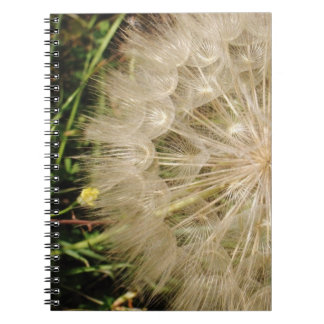 Carnet Plan rapproché d'horloge de pissenlit