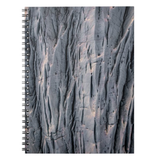 Carnet Plante (Devant)