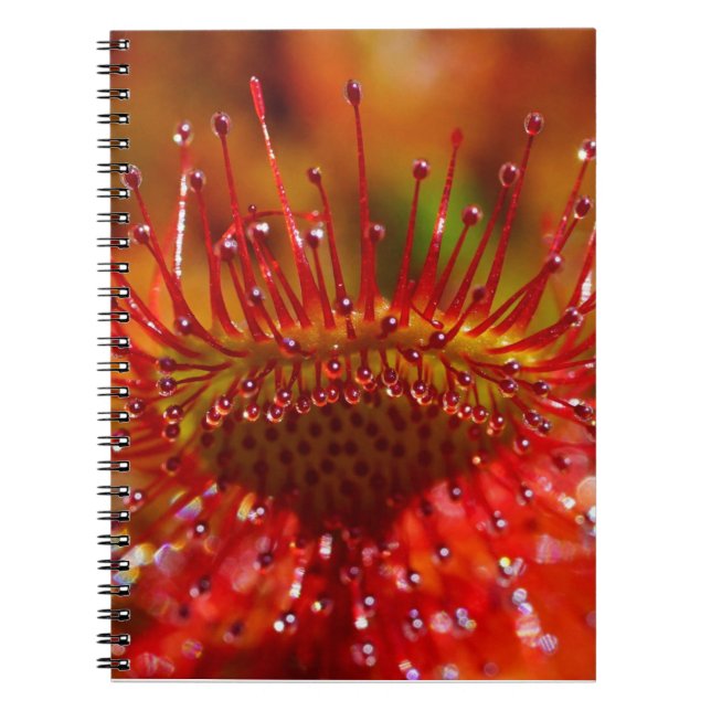 Carnet Plante carnivore roux. (Devant)