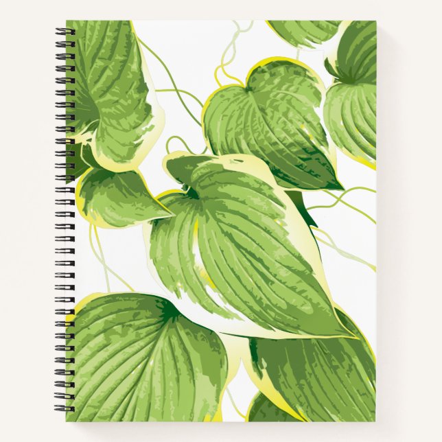 Carnet Plante de Ficus (Devant)