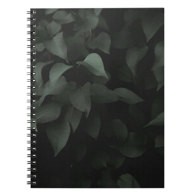 CARNET PLANTE FEUILLES VERTES (Devant)