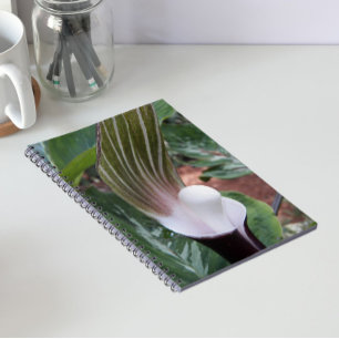 Carnet Plante Jack-in-the-Pulpit Floral