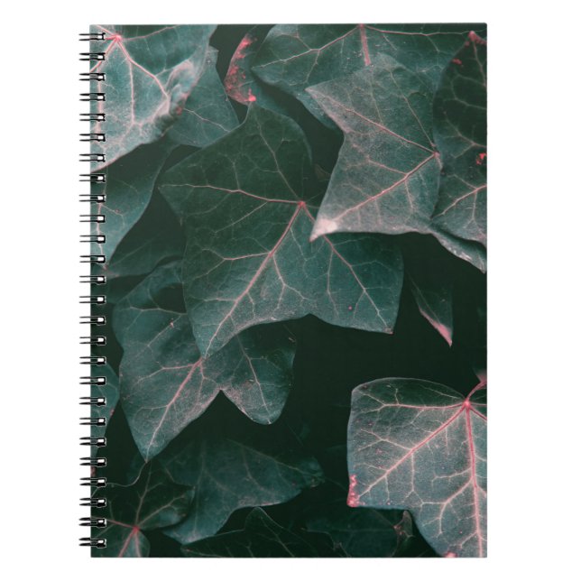 CARNET PLANTE VERT (Devant)