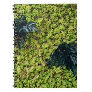 Carnet Plantes à feuilles vertes