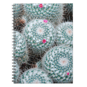Carnet Plantes de cactus aux minuscules fleurs roses