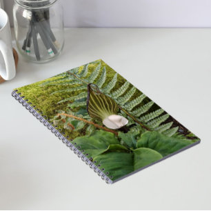 Carnet Plantes de forêt Photo florale