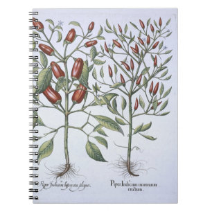 Carnet Plantes de poivre de piments, du 'Hortus